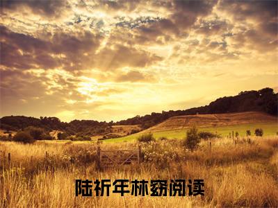 陆祈年林窈小说_主角叫：陆祈年林窈的小说全文免费阅读无弹窗