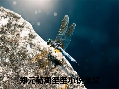 郑元赫周笙笙（郑元赫周笙笙）小说全文免费阅读_（郑元赫周笙笙）小说全文无删减版在线阅读