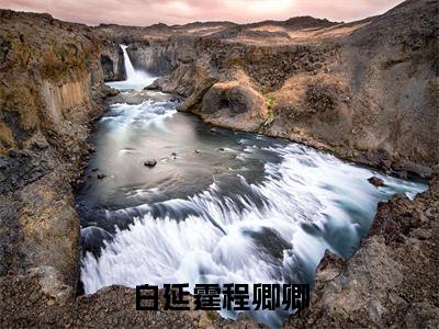 白延霆程卿卿小说大结局全文免费阅读-小说排行榜top1小说全文阅读