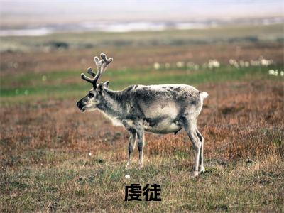 翁颖邵驰全文(虔徒)全文免费阅读无弹窗大结局_(翁颖邵驰全文免费阅读全文大结局)翁颖邵驰最新章节列表_笔趣阁（虔徒全文）