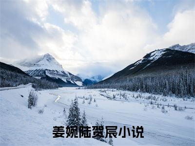姜婉陆贺宸小说全文免费阅读无弹窗,（姜婉陆贺宸）小说全文免费阅读