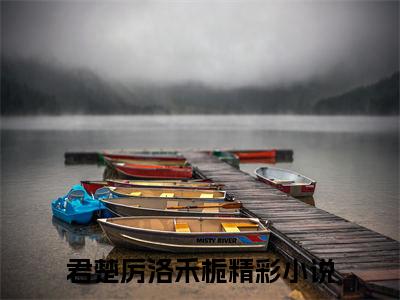 《君楚厉洛禾栀》小说好看吗-君楚厉洛禾栀最后结局如何《君楚厉洛禾栀》在线赏析全文