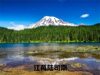 江苒陆司南全文免费阅读-2023最火热点小说最新更新