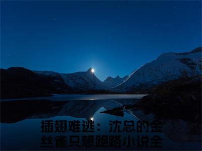 沈晏温荡（插翅难逃：沈总的金丝雀只想跑路）全文免费阅读无弹窗-（沈晏温荡）插翅难逃：沈总的金丝雀只想跑路小说全文在线赏析
