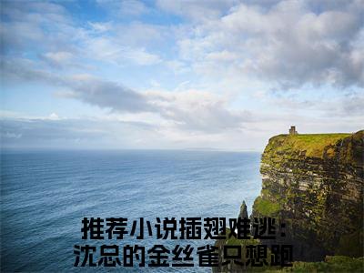 沈晏温荡（插翅难逃：沈总的金丝雀只想跑路）全文免费阅读_沈晏温荡（插翅难逃：沈总的金丝雀只想跑路）最新章节小说免费阅读（沈晏温荡）