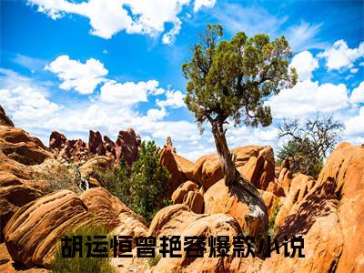 胡运恒曾艳容书名是《胡运恒曾艳容》在线赏析_胡运恒曾艳容txt小说阅读_胡运恒曾艳容在线阅读笔趣阁