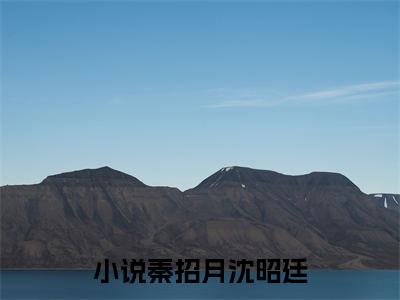 【新书】秦招月沈昭廷全文全章节免费阅读-秦招月沈昭廷小说免费阅读无弹窗最新章节列表