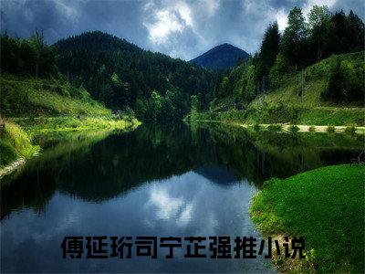 新书热荐傅延珩司宁芷全文免费阅读无弹窗大结局-小说傅延珩司宁芷全文完整版免费阅读