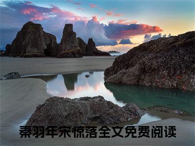 秦羽年宋惊落全文免费阅读无弹窗大结局_（秦羽年宋惊落）完整版全文在线赏析