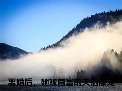 傅寒夜夏浅（离婚后，她被首富前夫掐腰宠）全文免费阅读无弹窗大结局_离婚后，她被首富前夫掐腰宠免费阅读最新章节列表_笔趣阁