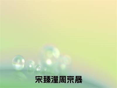 宋臻潼周京晟免费阅读无弹窗大结局-宋臻潼周京晟（宋臻潼周京晟最新全章节大结局）全文阅读