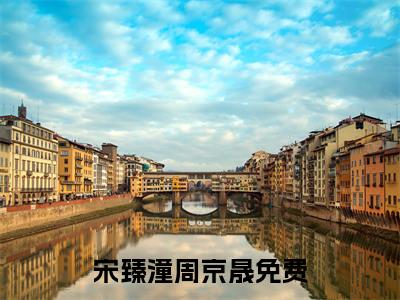 宋臻潼周京晟小说（宋臻潼周京晟）全文免费阅读无弹窗大结局_宋臻潼周京晟最新章节列表_笔趣阁
