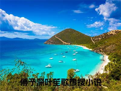 傅予深叶笙歌（傅予深叶笙歌）全文免费阅读无弹窗大结局_傅予深叶笙歌全文在线阅读无弹窗