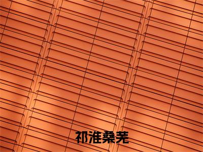 祁淮桑芜小说全文阅读-（祁淮桑芜）小说大结局
