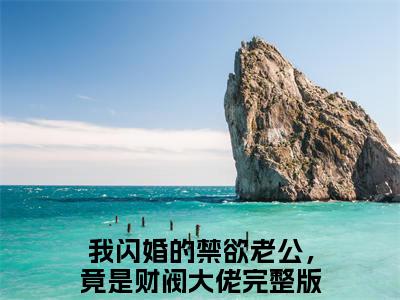 我闪婚的禁欲老公，竟是财阀大佬免费阅读无弹窗，小说苏心沈醉大结局全文免费阅读