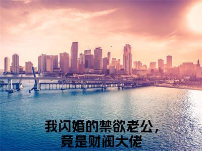 苏心沈醉小说（我闪婚的禁欲老公，竟是财阀大佬）全文免费阅读无弹窗大结局_（我闪婚的禁欲老公，竟是财阀大佬）苏心沈醉最新章节列表（我闪婚的禁欲老公，竟是财阀大佬）