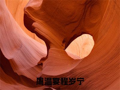 周温宴程岁宁无弹窗免费阅读 周温宴程岁宁大结局无删阅读_笔趣阁