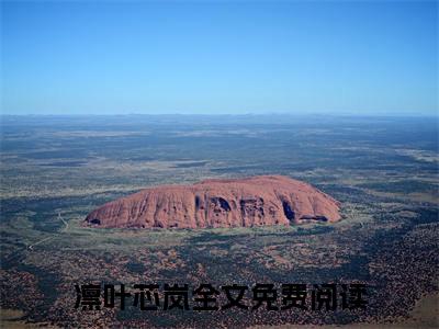 小丫头是会长小说全文免费阅读(小丫头是会长)全文免费阅读无弹窗_凛叶芯岚小说全文免费阅读_笔趣阁(小丫头是会长)
