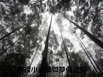 薛如梦傅止斐知乎免费小说_薛如梦傅止斐免费最新章节列表_笔趣阁
