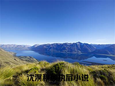 沈溟秋顾执扉全文免费阅读-沈溟秋顾执扉小说（沈溟秋顾执扉）免费阅读全文