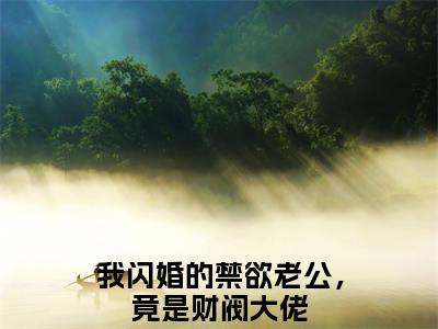我闪婚的禁欲老公，竟是财阀大佬小说苏心沈醉完整版大结局-我闪婚的禁欲老公，竟是财阀大佬小说完结版在线阅读