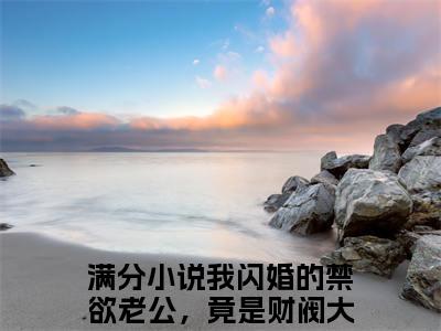 我闪婚的禁欲老公，竟是财阀大佬小说（苏心沈醉）最新章节阅读-我闪婚的禁欲老公，竟是财阀大佬（苏心沈醉）免费阅读无弹窗大结局
