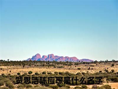 贺思洁陈应琛小说全文免费阅读 （贺思洁陈应琛）免费阅读全文免费阅读无弹窗大结局
