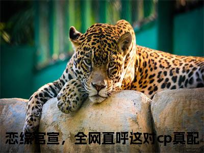 姜念谢无妄小说（恋综官宣，全网直呼这对cp真配）全文免费阅读无弹窗大结局_（姜念谢无妄）恋综官宣，全网直呼这对cp真配小说免费阅读无弹窗最新章节列表_笔趣阁