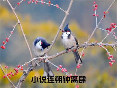 连朔钟离肆免费（连朔钟离肆）全文免费阅读无弹窗大结局_连朔钟离肆免费最新章节列表_笔趣阁