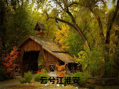 云兮江淮安已完结小说《云兮江淮安》在线全文阅读