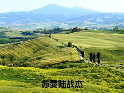 苏蔓陆战杰小说（苏蔓陆战杰）全文免费阅读_苏蔓陆战杰小说精彩在线赏析