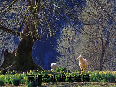 摊牌了，嫡女是个全系天才(棠清念)抖音热推小说全集无删减_(棠清念免费阅读全文大结局)最新章节列表_笔趣阁