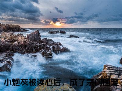 云岚（小炮灰被读心后，成了宗门团宠）全文免费阅读无弹窗大结局_云岚在线阅读笔趣阁