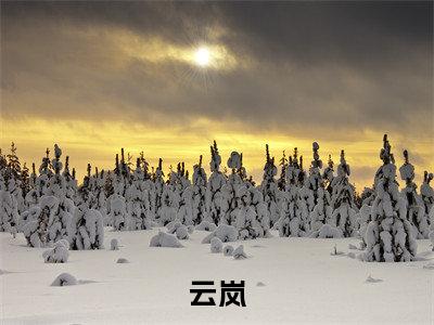 小炮灰被读心后，成了宗门团宠(云岚)全文免费读无弹窗大结局_（云岚免费小说）小炮灰被读心后，成了宗门团宠无弹窗最新章节列表_笔趣阁（云岚）