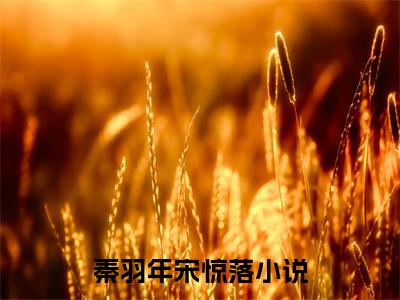 秦羽年宋惊落全文免费阅读 秦羽年宋惊落章节免费阅读