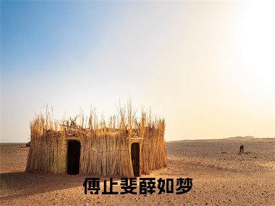 傅止斐薛如梦（傅止斐薛如梦）全文免费阅读大结局-傅止斐薛如梦最新章节免费阅读大结局