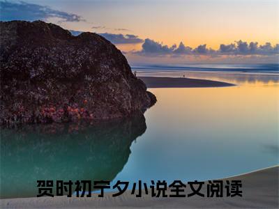 我怎么输得起小说最新章节（贺时初宁夕）全文免费阅读无弹窗大结局_贺时初宁夕免费阅读（我怎么输得起小说）