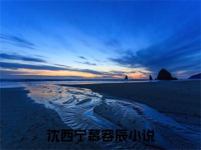 小说（沈西宁慕容辰）使我思君朝与暮全文阅读-精彩美文沈西宁慕容辰免费阅读