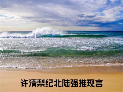 可惜，她爱的人，却只有一颗野心（许清梨纪北陆）全文免费阅读无弹窗大结局_可惜，她爱的人，却只有一颗野心最新章节列表_笔趣阁（许清梨纪北陆）