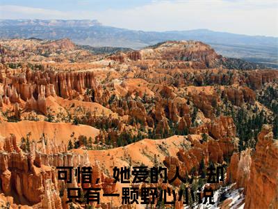 许清梨纪北陆最新完结免费阅读-可惜，她爱的人，却只有一颗野心悬疑小说在线阅读