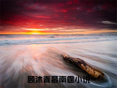 顾沐青慕南霆小说全文（顾沐青慕南霆）全文免费阅读无弹窗大结局_顾沐青慕南霆小说免费最新章节列表_笔趣阁（顾沐青慕南霆）