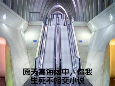 安冉陆薄归的小说（愿天高海阔中，你我生死不相交）免费阅读_安冉陆薄归小说免费阅读-笔趣阁（愿天高海阔中，你我生死不相交）