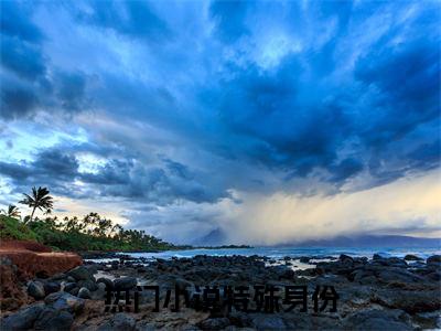 特殊身份免费小说,林羽全文免费阅读无弹窗大结局