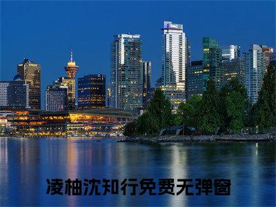 凌柚沈知行小说免费阅读-精选好书凌柚沈知行