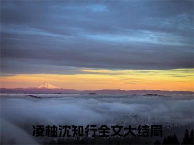 凌柚沈知行小说讲的是什么-凌柚沈知行精彩章节目录观看