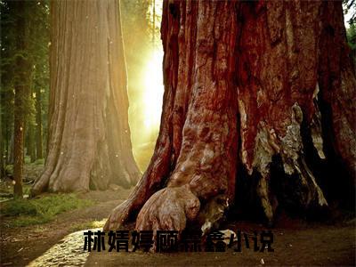 超多人求的小说（林婧婷顾霖鑫）在哪里看免费的林婧婷顾霖鑫精彩阅读