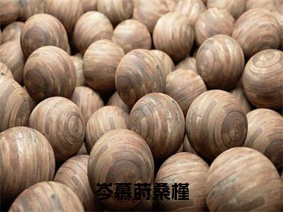 岑慕莳桑槿全文免费阅读（岑慕莳桑槿小说）全文免费阅读无弹窗大结局_(岑慕莳桑槿小说小说免费阅读)最新章节列表_（岑慕莳桑槿）