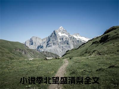 季北望盛清梨（季北望盛清梨）全文免费阅读大结局-（季北望盛清梨）最新章节阅读