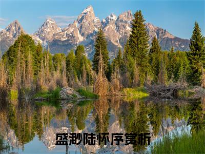 盛渺陆怀序精彩热门小说_盛渺陆怀序小说全文免费阅读_最新章节列表_笔趣阁