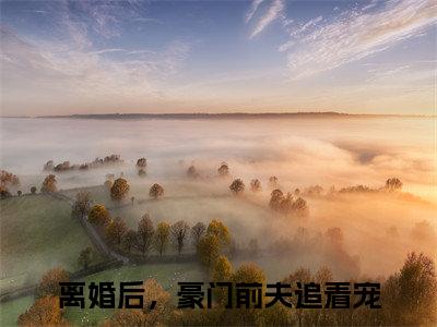 温言裴时年好看的小说离婚后，豪门前夫追着宠在线阅读-离婚后，豪门前夫追着宠是什么小说《温言裴时年》